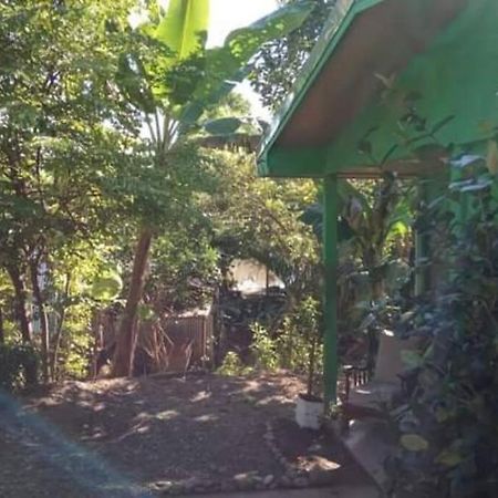 Casa Flor De Annia ~ Cozy 2 Bdrm On The River Sierpe ~ Walkable To Town别墅 外观 照片