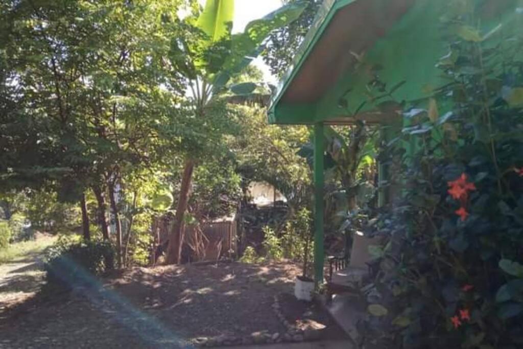 Casa Flor De Annia ~ Cozy 2 Bdrm On The River Sierpe ~ Walkable To Town别墅 外观 照片