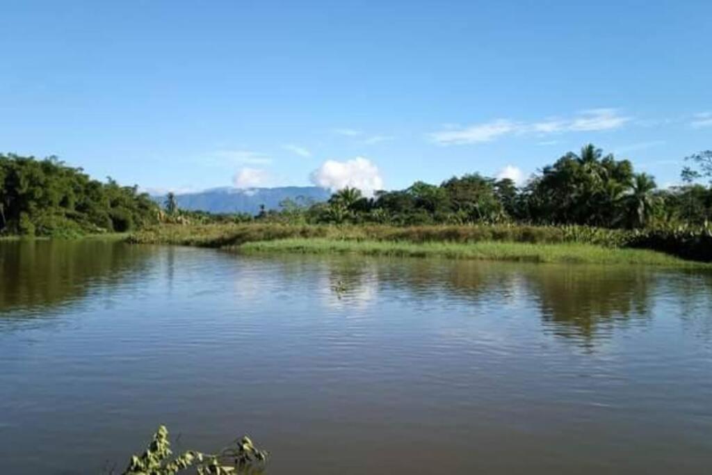 Casa Flor De Annia ~ Cozy 2 Bdrm On The River Sierpe ~ Walkable To Town别墅 外观 照片