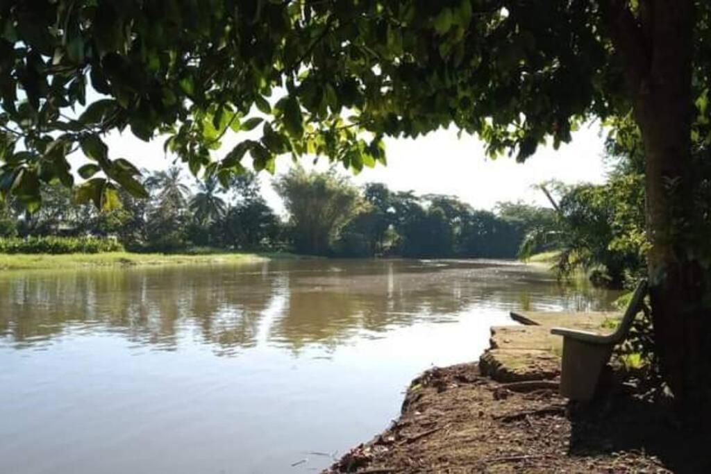 Casa Flor De Annia ~ Cozy 2 Bdrm On The River Sierpe ~ Walkable To Town别墅 外观 照片