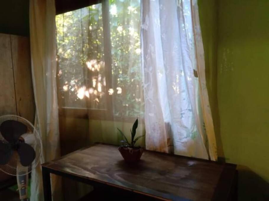 Casa Flor De Annia ~ Cozy 2 Bdrm On The River Sierpe ~ Walkable To Town别墅 外观 照片