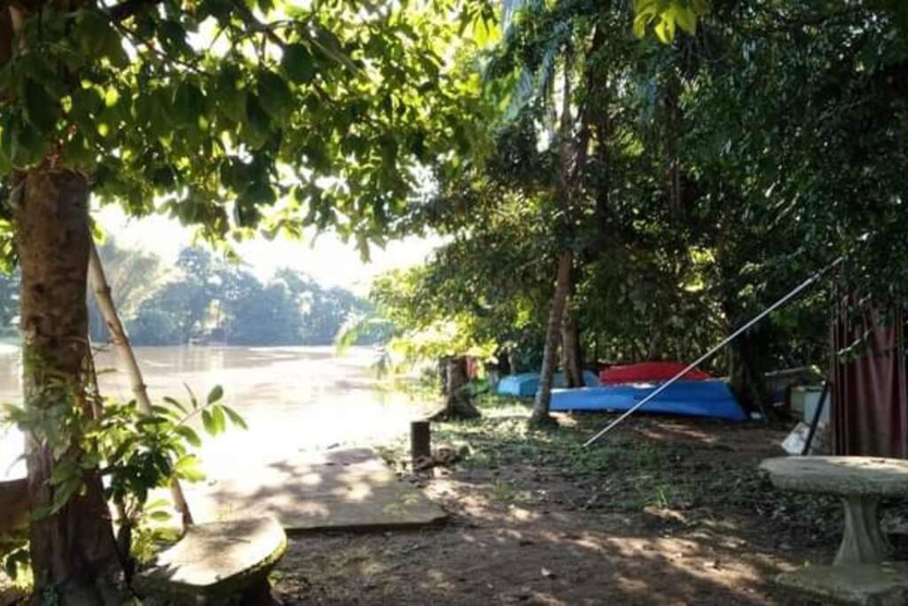Casa Flor De Annia ~ Cozy 2 Bdrm On The River Sierpe ~ Walkable To Town别墅 外观 照片